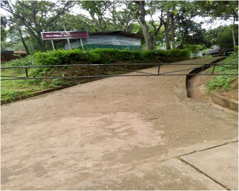 Project of planning